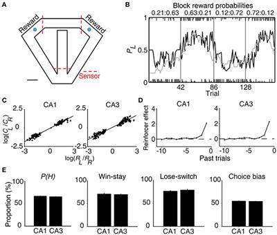 Neural Signals Related to Outcome Evaluation Are Stronger in CA1 than CA3